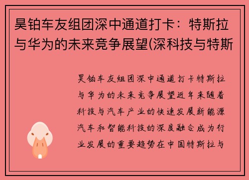 昊铂车友组团深中通道打卡：特斯拉与华为的未来竞争展望(深科技与特斯拉合作)