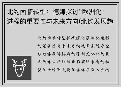 北约面临转型：德媒探讨“欧洲化”进程的重要性与未来方向(北约发展趋势)